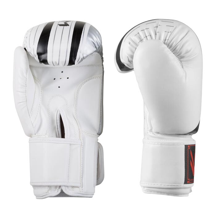 Боксерські рукавички Venum, DX-55, 10oz, білий-срібло.
