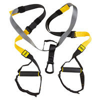 Петлі TRX P5 Pro System. Знижка на ящик.