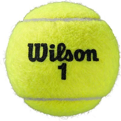 М'яч тенісний Wilson ROLAND GARROS ALL CT, 3шт.
