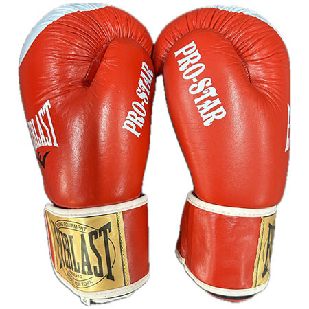 Боксерські рукавички Ever PRO STAR, шкіра, 8oz, червоний.