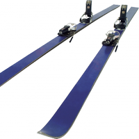 Зимовий спорт